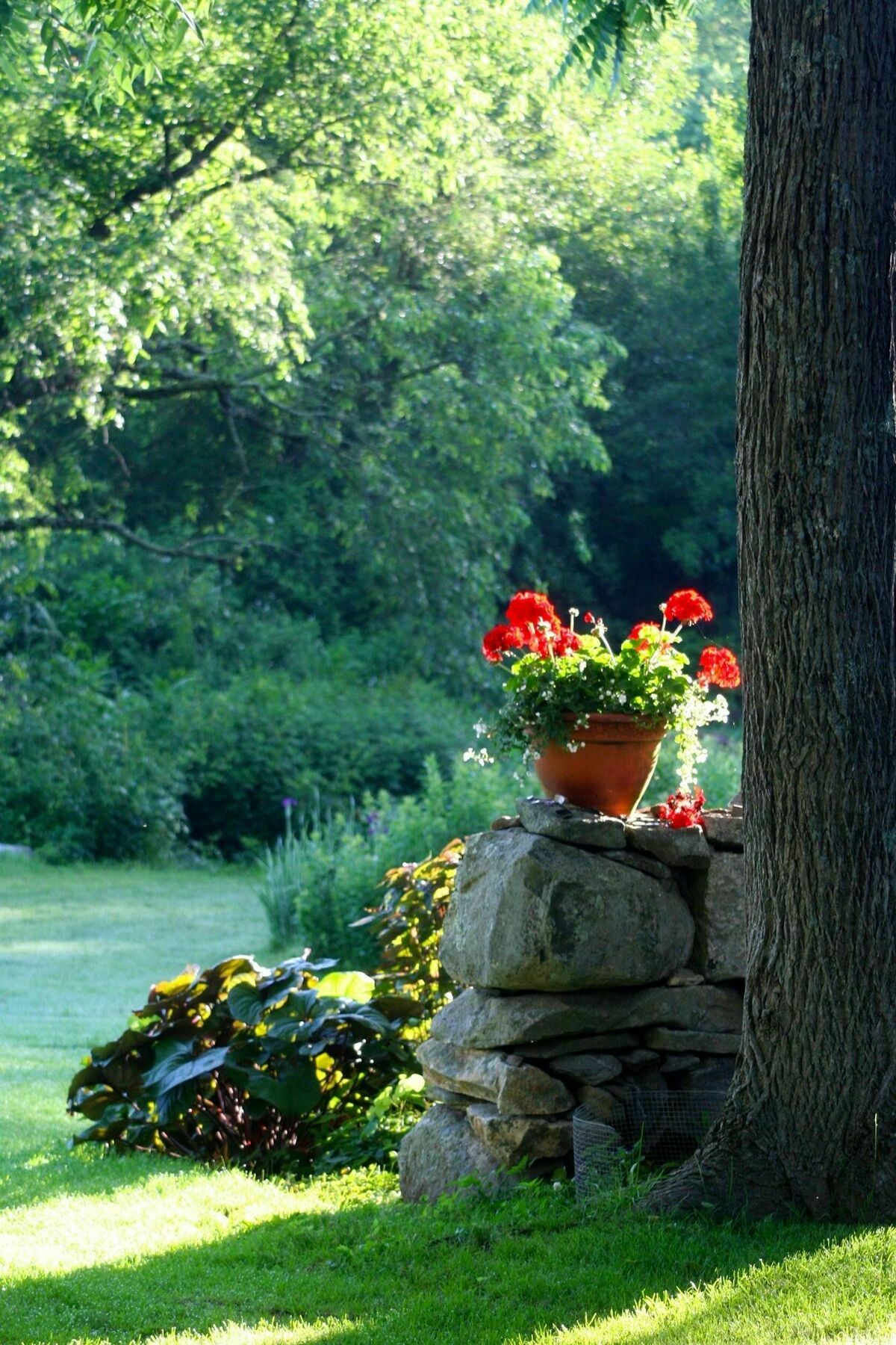 Roseledge Country Inn Preston Extérieur photo